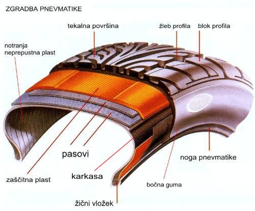 Zgradba pnevmatike